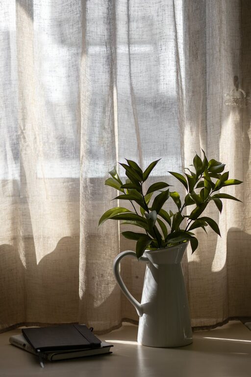 How to Refresh Your Home with Plants: A Simple Guide