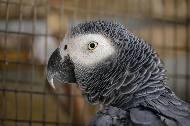 How to Protect Your Eyes During Screen Time: Easy Tips for Eye Health